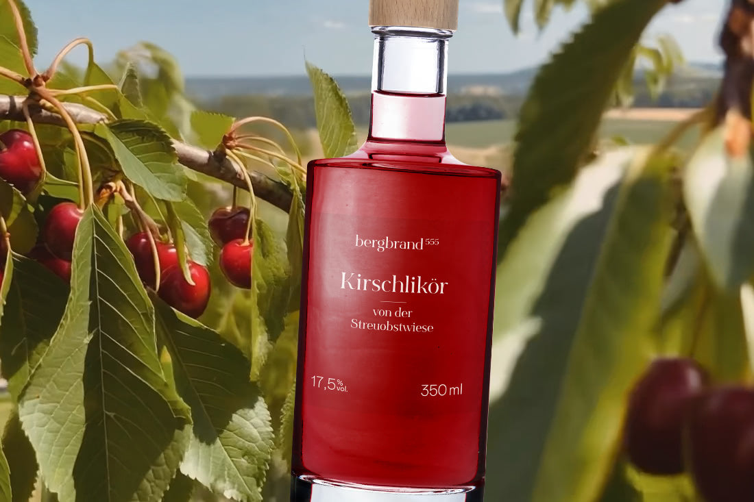 Kirschblüte 2025 – wie wird der neue Kirschlikör?